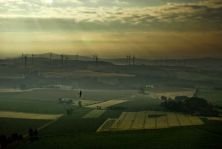the swift or netherlandish morning on desenberg.jpg